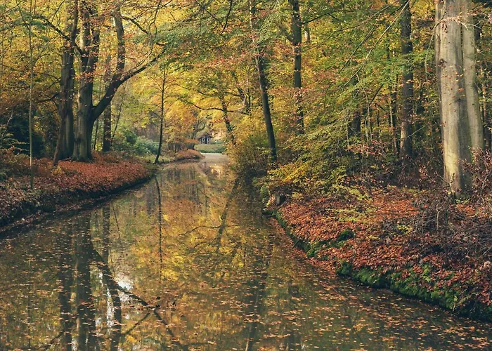 公寓 沙丘公寓 *