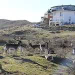 Апартаменты Dune