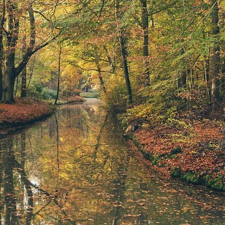 Апартаменты Dune *